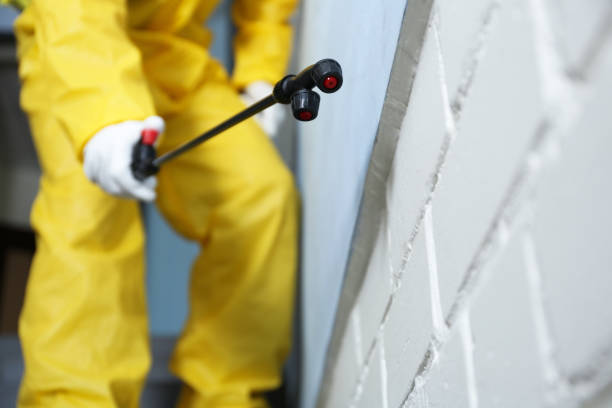 Best Fumigation Services  in Riddle, OR